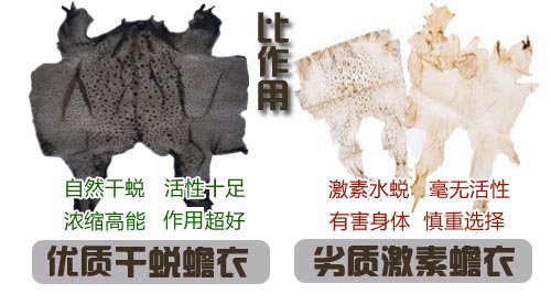 如何選擇好蟾衣？您踩坑了嗎？