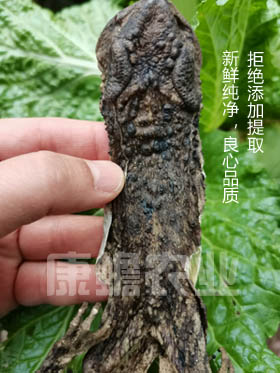 1669813436190784.jpg 微信圖片_20221130210500.jpg