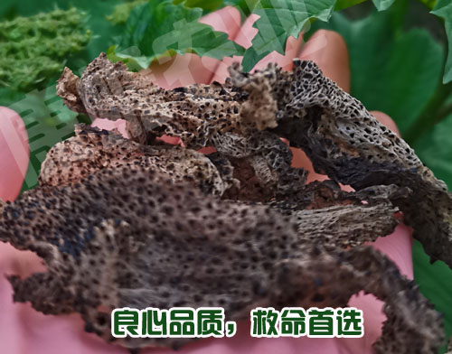 用不用蟾衣，你聽(tīng)誰(shuí)的？